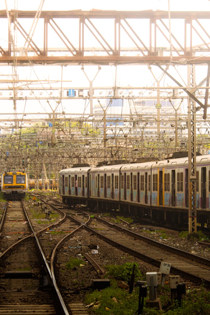 pexels photo 28940601.jpeg